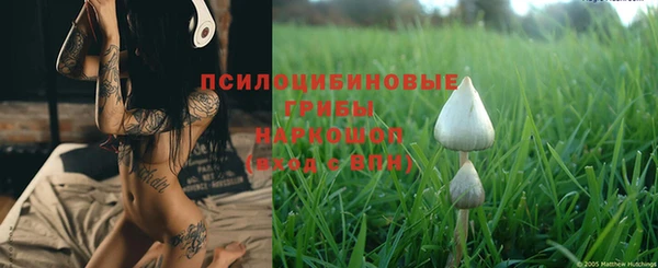 Альфа ПВП Нягань