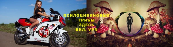 не бодяженный Алзамай